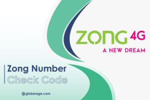 Zong Number Check Code